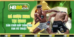 Cá cược MMA tại HB88 - Sân chơi hấp dẫn cho fan võ thuật