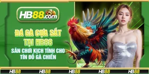 Đá gà cựa sắt tại HB88 - Trải nghiệm cá cược đỉnh cao cho fan gà chiến