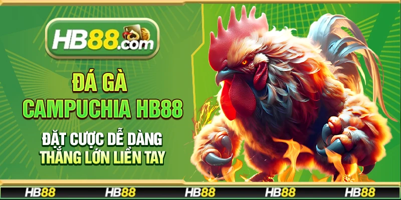 Đá gà Campuchia Hb88 – Đặt cược dễ dàng thắng lớn liền tay
